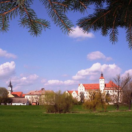 Parkhotel Pretzsch Bad Schmiedeberg Exteriör bild