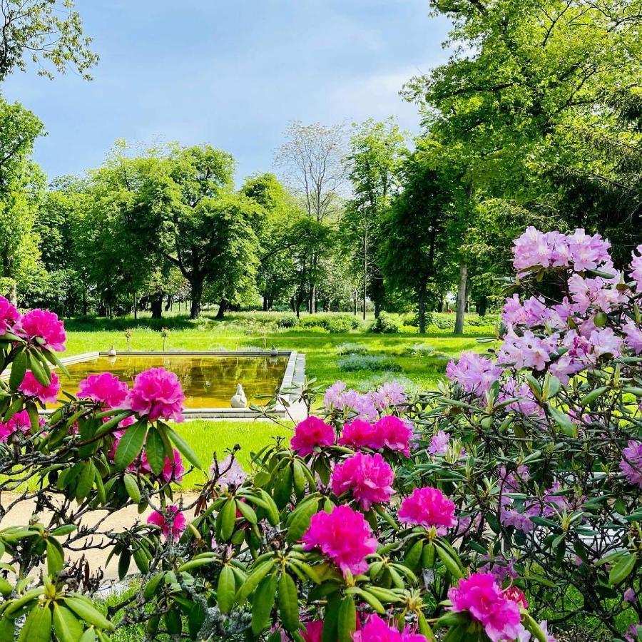 Parkhotel Pretzsch Bad Schmiedeberg Exteriör bild