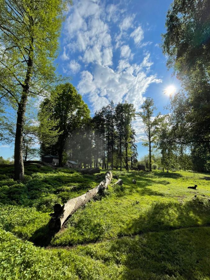 Parkhotel Pretzsch Bad Schmiedeberg Exteriör bild