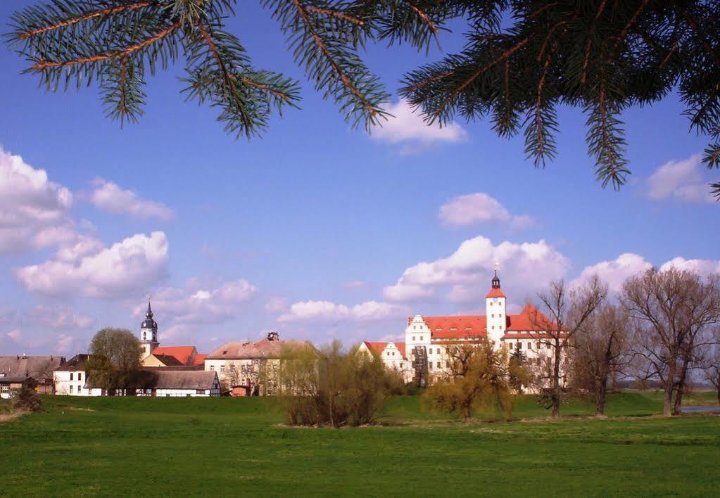 Parkhotel Pretzsch Bad Schmiedeberg Exteriör bild